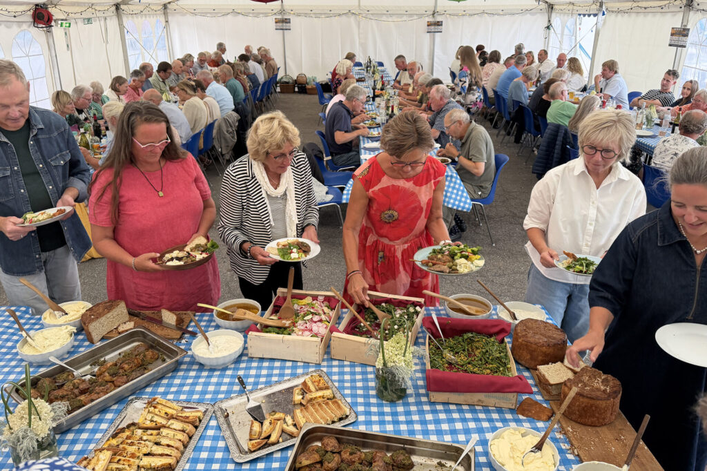 Havnefest 2026-33